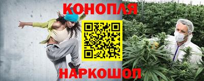 ешки Партизанск