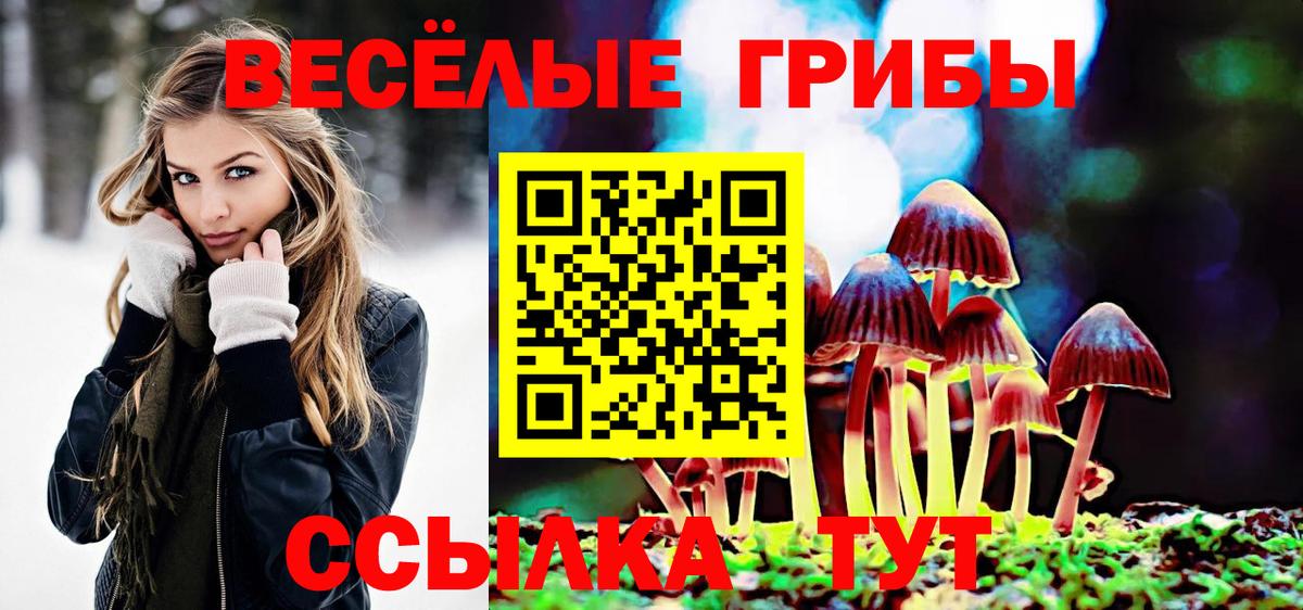Псилоцибиновые грибы GOLDEN TEACHER Тайшет