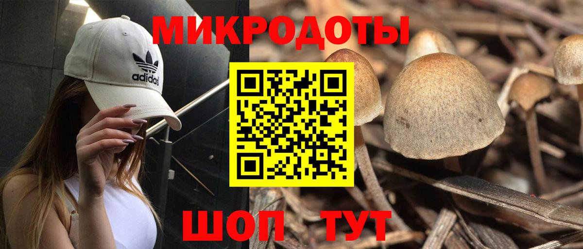Тайшет  Галлюциногенные грибы мухоморы  где найти наркотики  Вход с VPN 